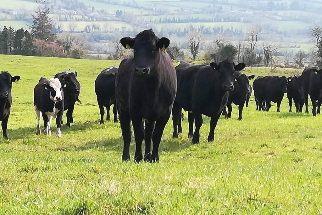 Corderry Farmhouse, Idyllic Cottage Amid 250 Acres Lisvernane Εξωτερικό φωτογραφία